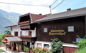 Apartment Klammlhof - ZAZ307
